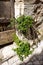 Entrance of stone house and Mediterranean plants