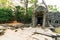 The entrance for  Ta  Phrom  castle.