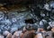 Entrance to abandoned chromite mine, Cyprus