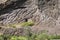 Entrance to the Aboriginal cave