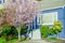 Entrance to blue house with blooming pink cherry flower in suburban Seattle