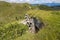 Entrance to bunker cover with grass