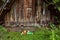 Entrance to the dwelling of a fairy forest creature, elf or dwarf, with green boots left on the doorstep with curved noses