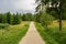 The entrance to fairies garden, Borsec, Romania