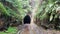 Entrance to the Helensburgh Railway Tunnel