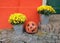 The entrance to the home decorated Halloween pumpkin