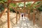 Entrance to Knossos archeological site on Crete