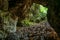 Entrance to a large karst cave