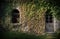 Entrance to an Old Building Ivied by Ivy