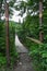 Entrance to the old suspension bridge over the river in the forest