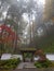 Entrance to Portland Japanese Garden One Colorful Foggy Autumn Morning