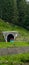 Entrance to the railway tunnel on the fortified bank of the river