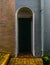 Entrance to a residential building, green door, plant in pot and