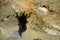 Entrance to sea cave at Fishermans Cove Beach in Laguna Beach, California.