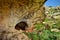 Entrance to a small cave formed in a valley, in Maltese limestone, Ghar il-Buz, Malta