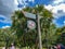 The entrance to the Swiss Family Robinson Treehouse in Magic Kingdom in Disney World Orlando, Florida