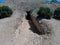 Entrance to a tholos or burial chamber near Tiryns, Greece