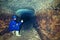 Entrance to the underground passages built for defense. Dry sandstone tunnel