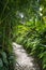 Entrance trail to tropical forest in south america