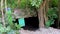 Entrance and walking path cave sinkhole cenote in Chemuyil Mexico