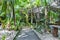 Entrance and walking path cave sinkhole cenote Tajma ha Mexico