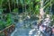 Entrance and walking path cave sinkhole cenote Tajma ha Mexico