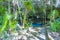 Entrance and walking path cave sinkhole cenote Tajma ha Mexico