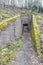 Entrance between walls with moss to an old and abandoned underground construction