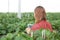 Entrepreneur young asian woman check cultivation strawberry with happiness for research with digital tablet.