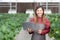 Entrepreneur young asian woman check cultivation strawberry with happiness for research with laptop computer.
