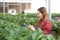 Entrepreneur young asian woman check cultivation strawberry with happiness for research with tablet.