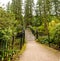 An entry visitor`s bridge to Benmore Botanic Garden over river Eachaig, Scotland