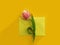 Envelope of flowers tulip  a colored background