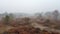 Enveloped in Mist: Lower Saxony Heathland in Dense Fog