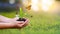 Environment Earth Day In the hands of trees growing seedlings. Bokeh green Background Female hand holding tree on nature field