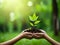 Environment Earth Day In the hands of trees growing seedlings. Female hand holding tree.