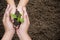 Environment Earth Day ,Woman and children are helping holding green seedling on soil, top view, Planting and protecting trees to r