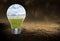 Environment, Environmentalism, Green Energy, Light Bulb