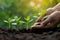 Environment hands of trees growing seedlings