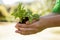 Environmental activist showing a plant