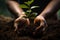 Environmental care human hands nurturing a young plant with soil