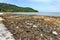 Environmental disaster. Garbage dump on Bai sao beach with white sand on the coastline. Plastic rubbish pollution in ocean.Plastic