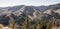 Environmental disaster in Narodny park Nizke Tatry in Slovakia - forest devastated by timber harvesting