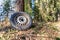 Environmental elapse in a forest, a left behind tire in pure nature.