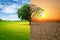 Environmental and global warming concepts, Live and dead big A Tree