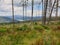 Environmental issue in Apuseni mountains, Romania