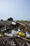 Environmental pollution in drift wood debris on ocean beach