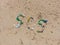 Environmental problem. Ecology concept. Plastic on the beach with sos writing. Spilled garbage on the beach