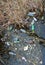 Environmental problem, garbage. Contamination with debris and pl