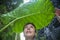 Environmental protection concept, girl holding over her head a tropical large green leaf Alocasia